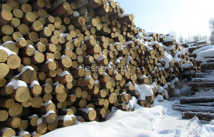 Построить деревянный дом из зимнего леса.